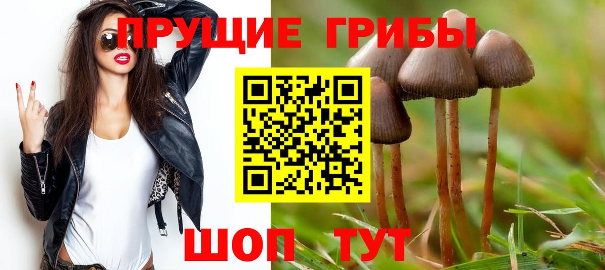 Чехов  Псилоцибиновые грибы Cubensis  Вход с VPN 